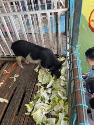 -小蜜蜂农场(凯德七宝购物广场店)