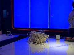 -星聚会KTV(合生汇黑金店)