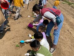 -京师双语幼儿园