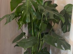 -观盐·盐帮菜(官园桥店)