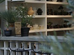 -自由生长植物工作室(深港花卉中心店)