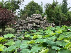 -洪湖家庭农场·团建·露营·会议