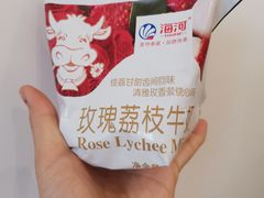 -天津海河华北乳品有限公司