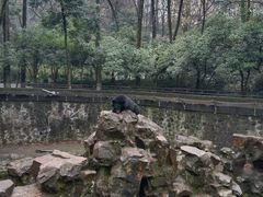 -杭州动物园