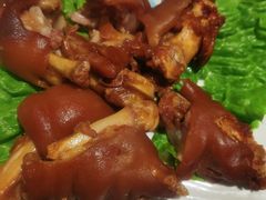 -七菜馆·东北菜·蒸饺(文体路店)