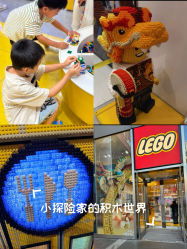 -乐高品牌旗舰店(人民广场店)