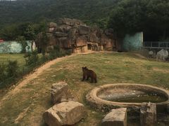 -无锡动物园·太湖欢乐园