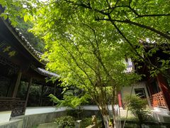 -十八棵（老龙井）御茶园(老龙井店)