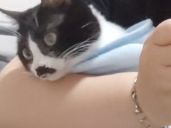 -萌兽医馆·犬猫专科·眼科中心·宠物医院(朝阳门分院)