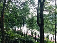 -重庆彩云湖湿地公园