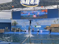 -石林冰雪海洋世界