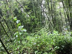 -藏龙百瀑风景区