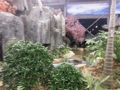 景观位-幸福绿洲美食广场