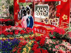 -望江楼公园