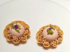 -觀芷隐轩