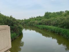 -塘沽森林公园
