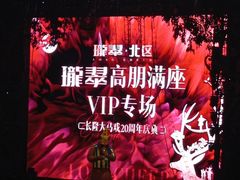 -广州长隆国际大马戏