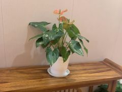 -香山湖渔家大院