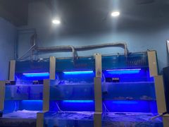 水产区-花味·自助烤肉(大观天地店)