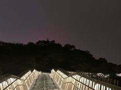 -福道