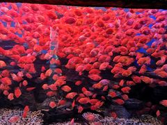 -多彩贵州城极地海洋世界