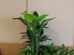-Peet's 皮爷咖啡(海雅缤纷城店)