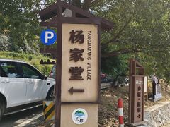 -杨家堂村