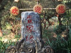 -北海金海湾红树林生态旅游区