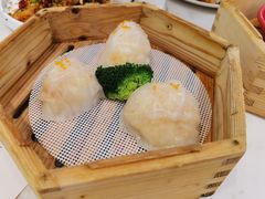 -避风塘(江桥万达店)
