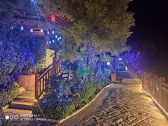 -徂徕山森林康养度假谷温泉