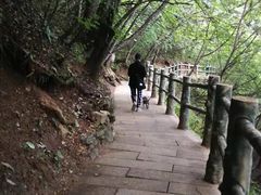 -塔云山