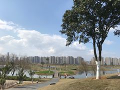 -洋湖国家湿地公园