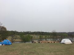 -钟山体育运动公园