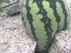 -古乐牛香·鲜牛肉牛杂火锅(新区店)