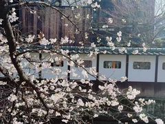 -京都御所