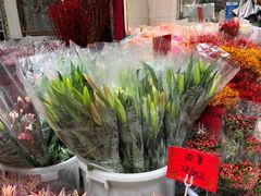 -循礼门鲜花花市(武汉循礼门店)