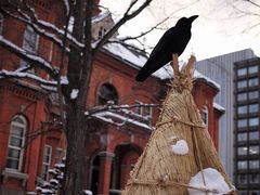 -北海道厅旧本厅舍(旧本庁舎)