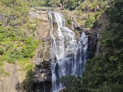 -海南热带雨林国家公园吊罗山景区