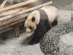 -青岛动物园