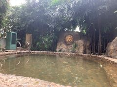 -龙熙维景国际会议中心