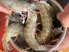 -懂食汇自助火锅