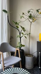 -Hair Co.一间沙龙