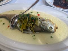 -老洋房花园饭店(绍兴路店)