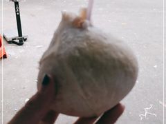 -三亚新鸿港水果一级批发市场