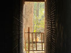 -乌镇东栅景区