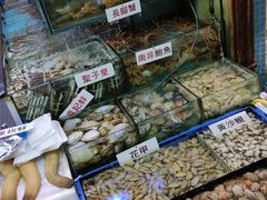 -广东名门