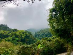 -梧桐山风景名胜区