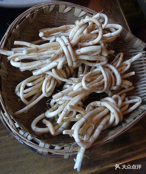 西川红老火锅折耳根图片 - 第159张