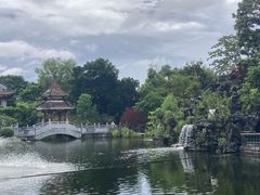 -顺峰山公园