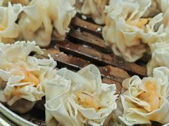 -白记饺子馆多伦道店